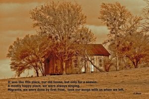 picture of a cabin surrounded by trees with a poem overlay