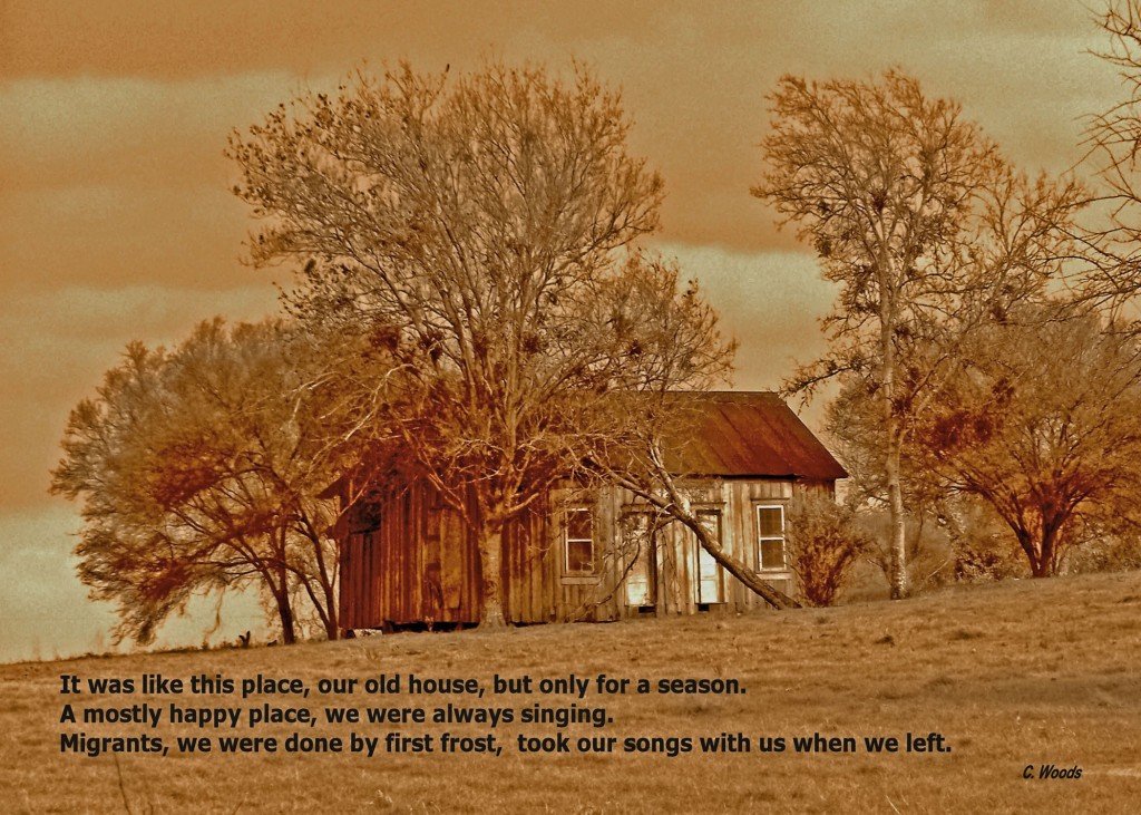 Sharecropper Songs_5x7_300dpi