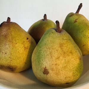 pear1