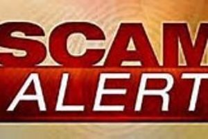 image with red text saying "scam alert"