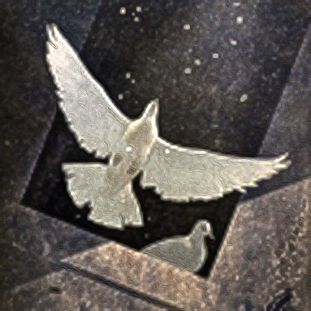 Image of a dove flying, another watching, to accompany Hybrid Writing and video features essay-poem The Falling Sickness by Charles Bane, Jr., in The Woven Tale Press