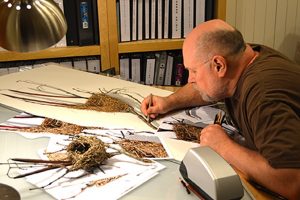 Artist David Morrison at work on one of his hyper realistic drawings