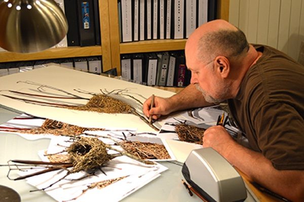 Artist David Morrison at work on one of his hyper realistic drawings