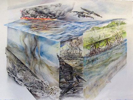 Spotlight: Jane Skafte, Oil Spill
November artist Jane Skafte uses colored pencil, land-fault diagrams, schematics, and realistic portrait to observe the changing earth.