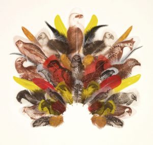 A collage of feathers with birds painted on them