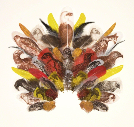 A collage of feathers with birds painted on them