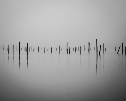 A black and white photograph of thin posts rising from still water