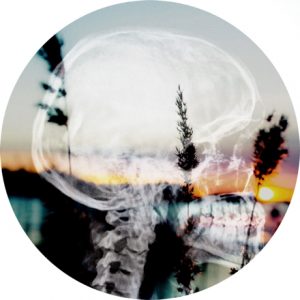 A circular photograph of a beach sunset with a human skull x-ray on top