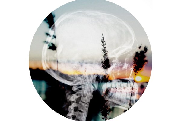 A circular photograph of a beach sunset with a human skull x-ray on top