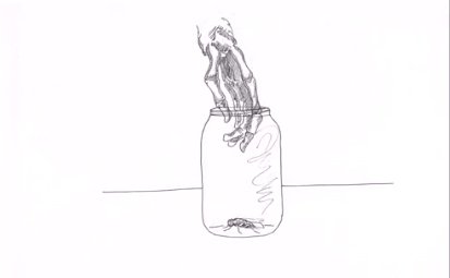 A drawing of a skeleton hand reaching into a jar for a bug