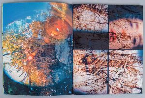A selection of photographs from an artist's book