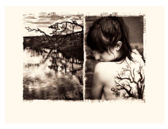 A diptych of sepia-toned photographs, one of trees over a lake and the other of a woman with a tree painted on her back