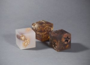 Blocks of resin filled with different seed pods