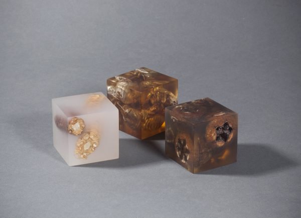 Blocks of resin filled with different seed pods