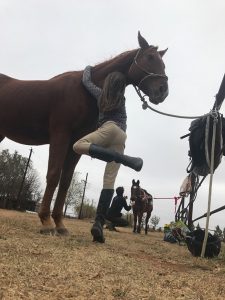 A young girl hugs a brown horse