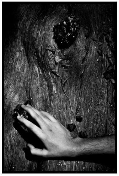 A black and white photograph of a hand touching a knot in a tree