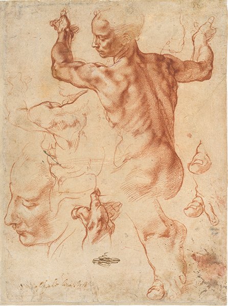 A drawing of a nude male figure by Michelangelo