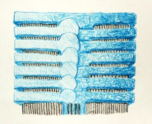 A drawing of flattened, blue sections of a ribcage