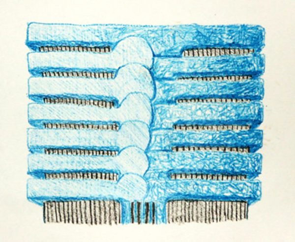 A drawing of flattened, blue sections of a ribcage