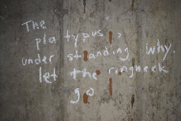 A poem written in chalk on a concrete basement wall