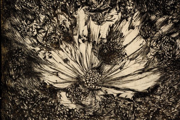 A black and white print of a flower and seeds on homemade paper