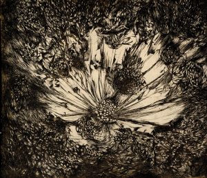 A black and white print of a flower and seeds on homemade paper