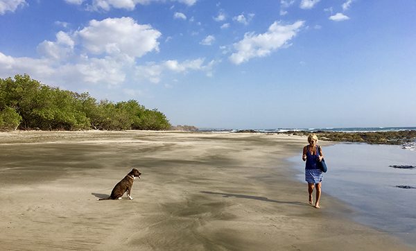 Photographer Nancy Breakstone walks along the shoreline at the beach with her dog