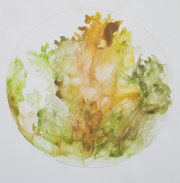 A circular abstract watercolor painting of trees