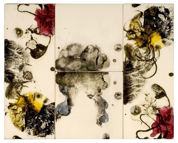 An ink print resembling floral structures in black, white, maroon, and yellow