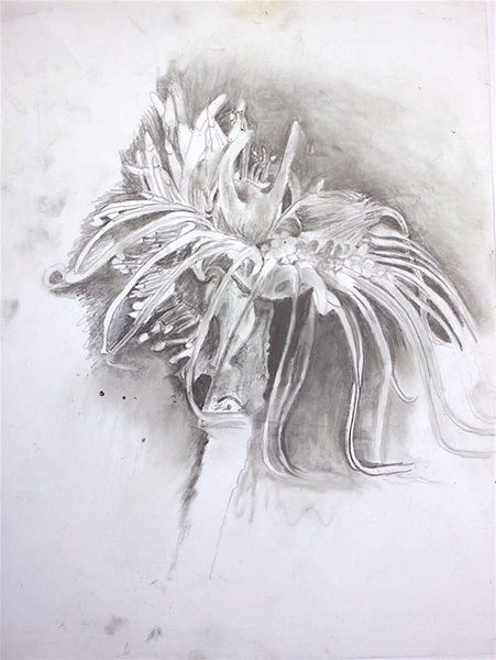 A graphite drawing of a fake exotic plant