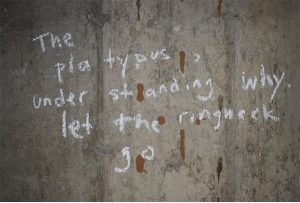 a poem written in chalk on a concrete wall