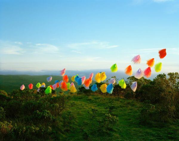 A photograph of a forest with colorful pieces of tissue flying through the air