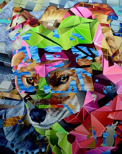 A colorful collage of a fox photograph and geometric shapes