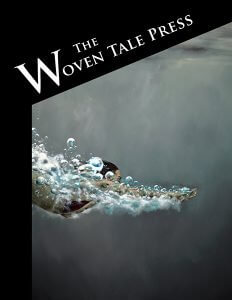 cover of the woventale press vol. vi #6