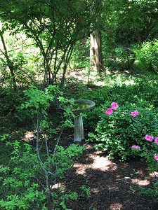 garden of the WTP retreat house