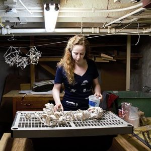Papermakerr and artist Hanna Vogel in her studio
