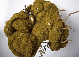 Moss sculpture by Jodi Colella