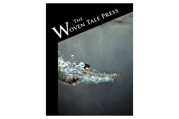 cover of the woventale press vol. vi #6