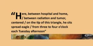 Text of excerpt from the poem Triangulation by Bob Meszaros