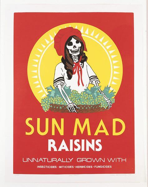 The sunmaid raisins box cover with a skeleton instead of a girl