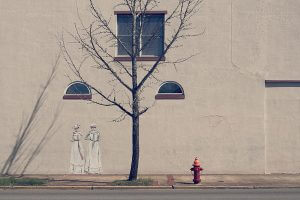 Photograph of graffiti by a dead tree by Sky Kim