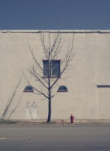 Photograph of graffiti by a dead tree by Sky Kim