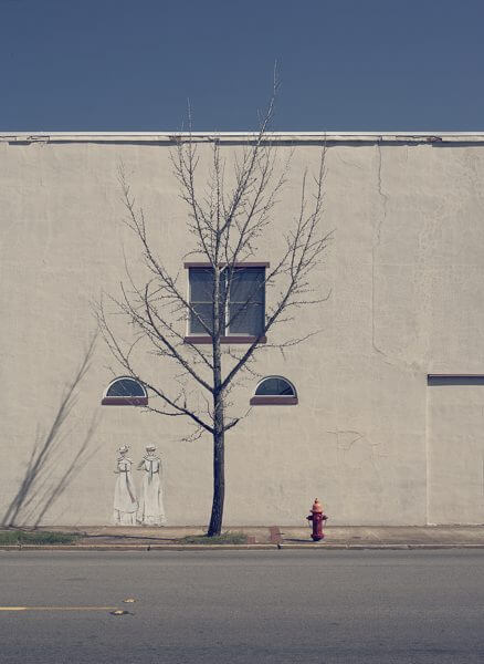 A photograph of a dead tree, with a drawing of two women in white dresses on the wall behind it