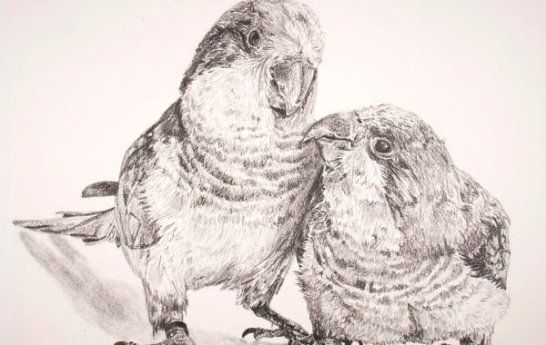 Art Spotlight: Stacy Slaten