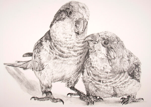 A drawing of two birds looking at each other