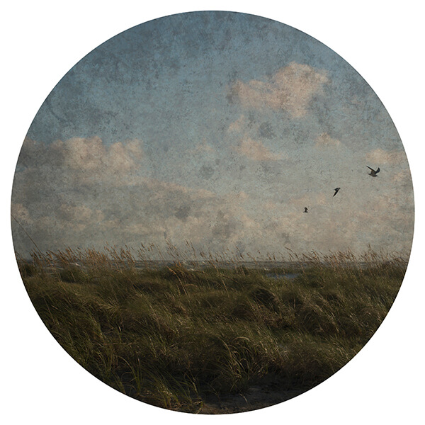 Circular photograph of a dune on the beach