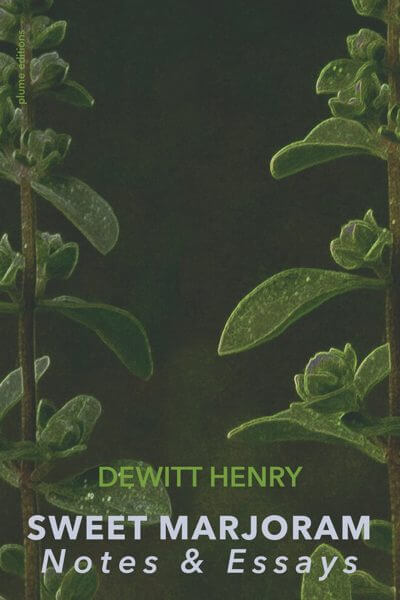 Cover of a book with a dark green background and plants on either side