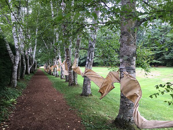 An installation of a cloth woven between trees in a park