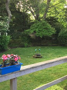 Backyard garden with a fountain and greenery