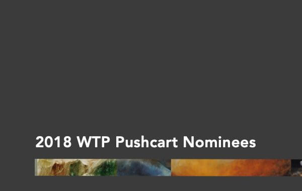 2018 Pushcart Nominations